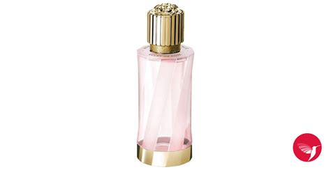 Éclat de Rose Versace for women and men